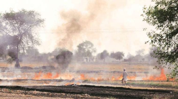 crop-burning1