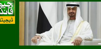 متحدہ عرب امارات آسان شکار نہیں : صدر امارات