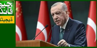 ترکیہ خطے میں امن کے لئے کوشاں